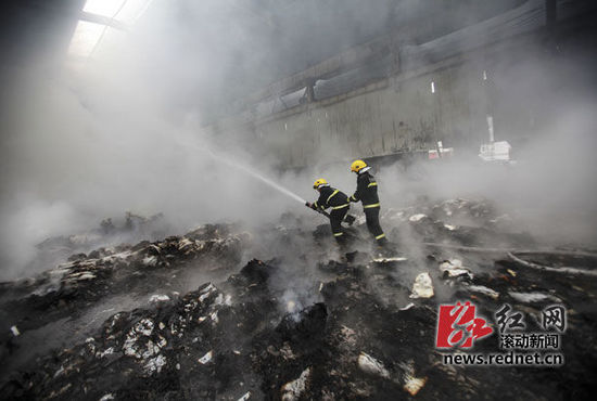 11月12日，瀏陽產(chǎn)業(yè)園，消防官兵組織救援，控制了火情。圖/滾動新聞記者