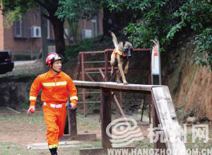 杭州第一支消防搜救犬隊成立