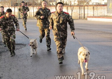 呂梁消防再投五萬元購置搜救犬訓(xùn)練器材