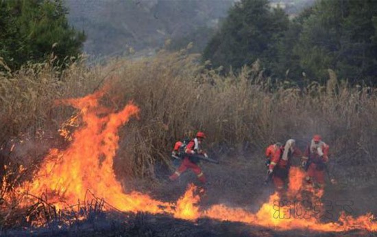 云南玉溪森林火災(zāi)燒到昆明境內(nèi) 部隊官兵出動滅火